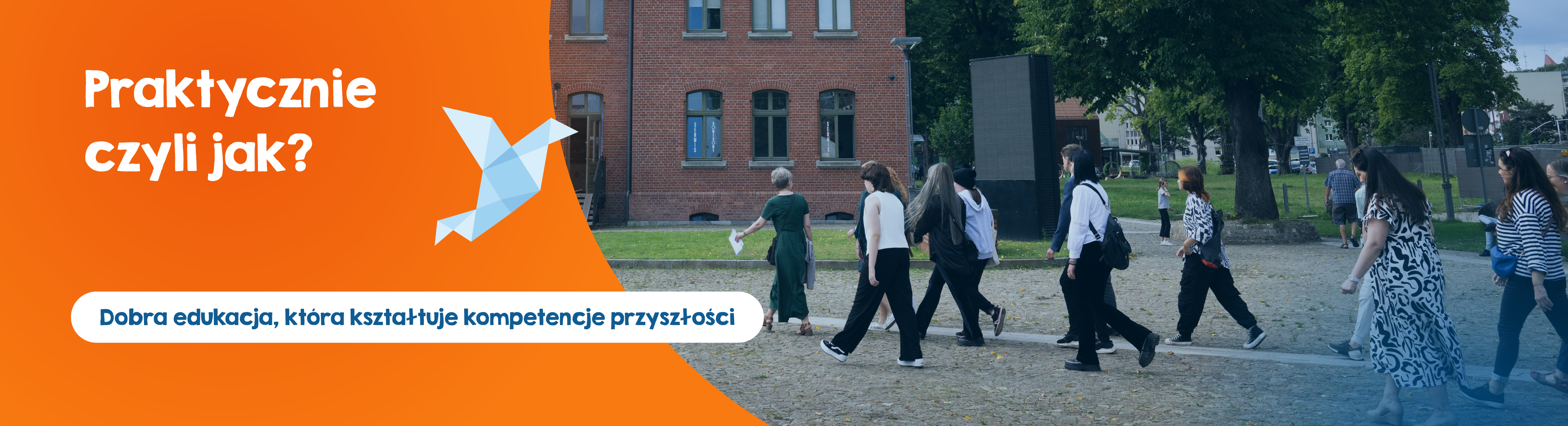 praktycznie tło 2